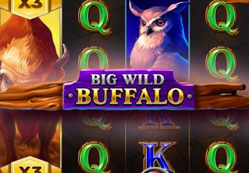 Игровой автомат Big Wild Buffalo в Apex Spins Casino