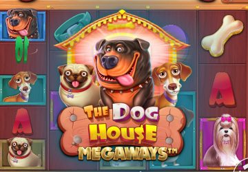 Автомат The Dog House Megaways в Apex Spins Casino